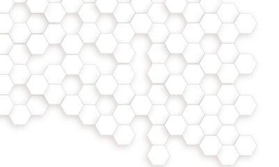 Abstract white and gray hexagon technology lines background. Abstract white and grey color hexagonal geometric background with copy space. Abstract white lines background.