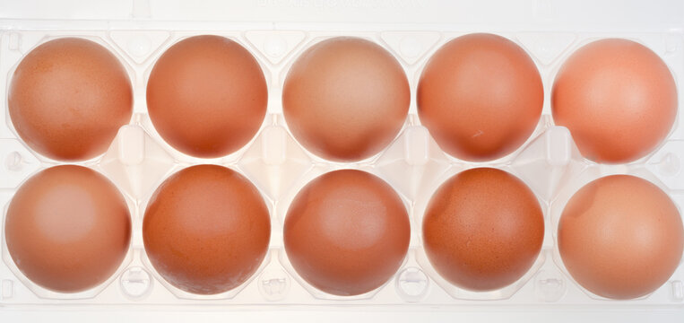 hen's eggs in holder
