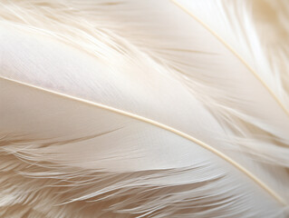 Detailed shot of a plain, white feather with subtle textures. --ar 4:3 --v 5.2 Job ID: a289e2d2-9697-4439-876f-658078df05b6