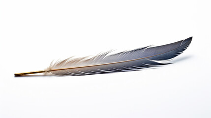 Feather Quill on White Background --ar 16:9 --v 5.2 Job ID: 6e5933f1-c8c0-4913-af3c-f517e198e05e