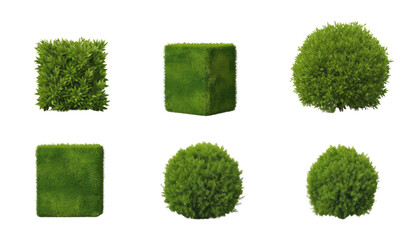 shape green bush isolated on transparent background cutout - obrazy, fototapety, plakaty