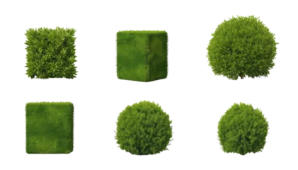 Fotobehang shape green bush isolated on transparent background cutout © Papugrat