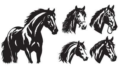 Horse heads set, black and white vector illustrations