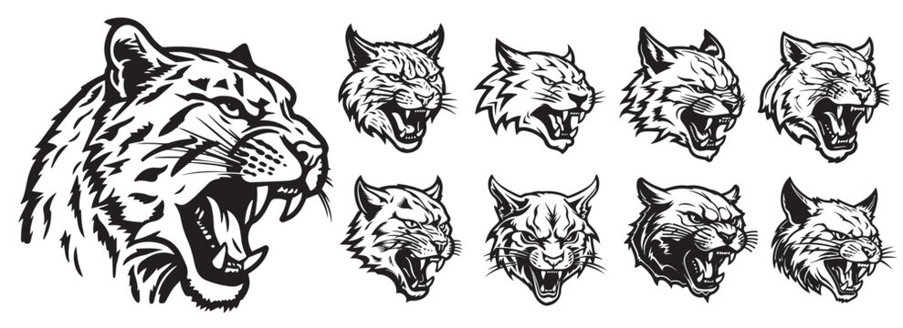 Set of aggressive angry cat heads in different positions with open mouth revealing the cat's fangs, black and white illustrations