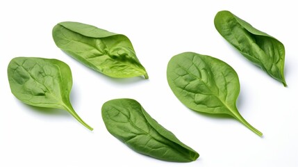 Fototapeta premium Spinach leaves isolated on white backdrop with clipping path, close-up, collection.