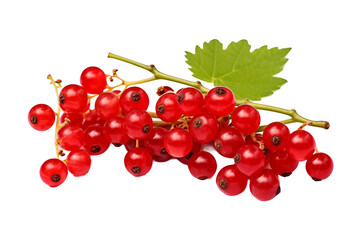 Array of scarlet and verdant grapes isolated on a transparent background