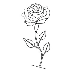 Rose flower continuous single line art drawing outline vector illustration minimalist design