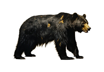 Fototapeta premium brown bear silhouette
