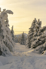 Magiczny Zimowy Krajobraz: Śnieżka w Karkonoszach - obrazy, fototapety, plakaty