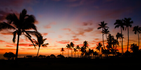 A colorful sky illuminated by a sun sitting on the horizon creates a silhouette of palm trees...