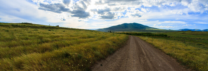Rural dirt road through the field