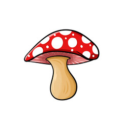 mushroom