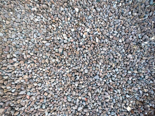 A close-up view of small brown pebbles and natural stones. Ideal for use as a graphic source or background image