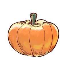 カボチャのイラスト
