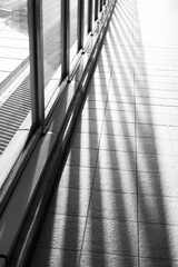 夕方 逆光 日差し