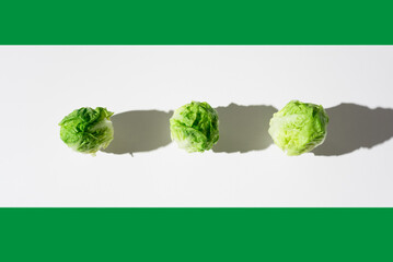 Tres corazones de lechuga fresca para ensalada sobre fondo blanco y verde. Vista superior