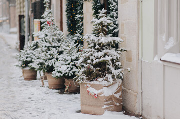 Five green decorative Christmas trees stand in burlap pots on a gray cobbled sidewalk outside a...
