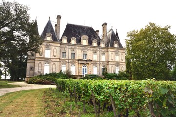French Chateau and vineyard