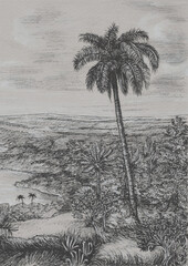 Palm tree on the shore