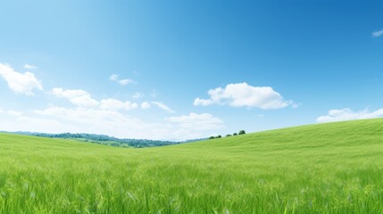 Fototapeta na wymiar Bright blue-green background in spring with dazzled sunlight.