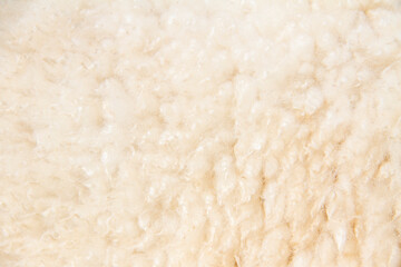 White sheep wool background, Background pattern of soft warm material