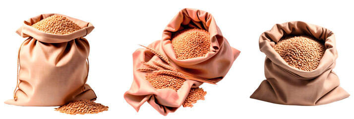 Conjunto de sacos de pano com sementes de trigo. Grupo de sacos com grãos de trigo - obrazy, fototapety, plakaty