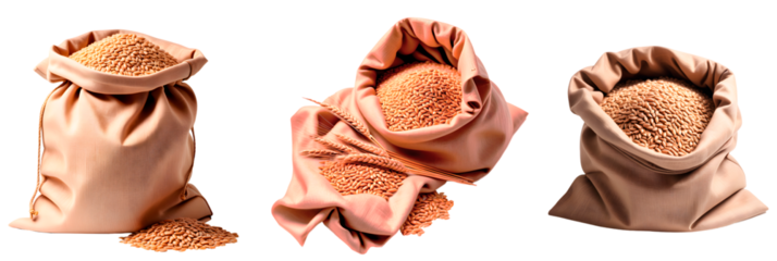 Conjunto de sacos de pano com sementes de trigo. Grupo de sacos com grãos de trigo