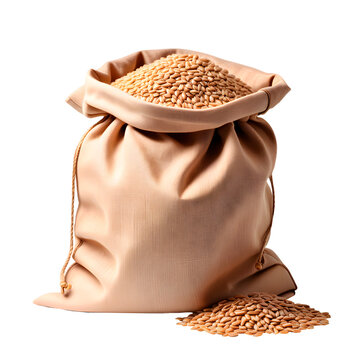 Saco de sementes de trigo. Saco de pano com grãos de trigos dentro e alguns grãos ao lado.