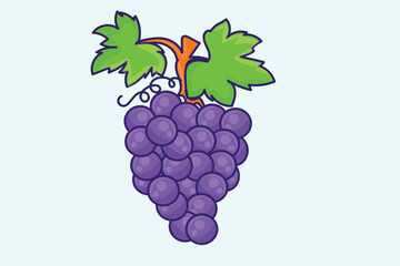 bunch of grapes on a vine