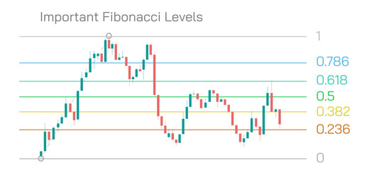 Stock market Investing and trading strategies infographics vector illustration. From beginner to expert level information.