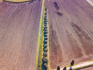Aerial view of sown field. - 690671253