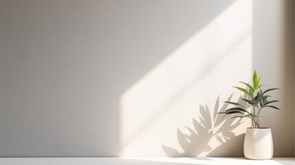 Realistic and minimalist blurred natural light windows, shadow overlay on wall paper texture, abstract background. Minimal abstract light white background for product presentation, generative AI