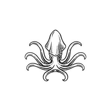 squid vector engraving hand drawn seafood logo