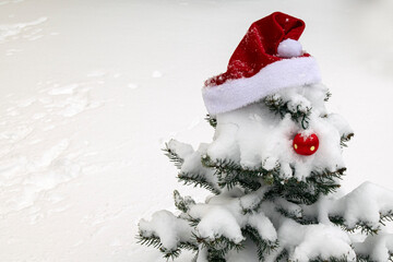 A natural Christmas tree is covered with snow. The red santa hat and ball are on the tree. Winter, Christmas and New Year.