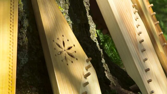 Dolly Close Up Shot of Freshly Made Wooden National Zithers Placed By The Tree Trunk