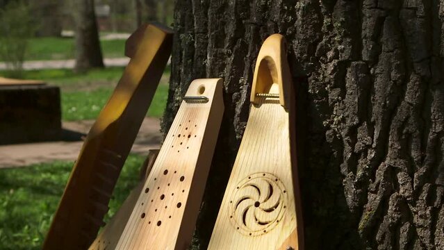 Dolly Close Up Shot of Freshly Made Wooden National Zithers Placed By The Tree Trunk