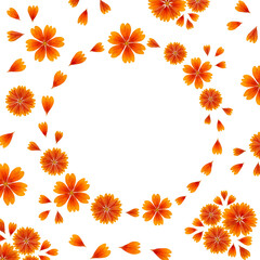 Creative composition of Gaillardia flower petals. Round frame with bright orange flowers on white background. Element for creating design,postcard, floral arrangement,wedding card, invitation.