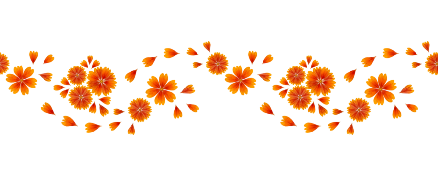 Seamless floral pattern, border, horizontal composition. Composition of Gaillardia flower petals isolated on white background. Element for creating design, postcard, pattern, wedding card, invitation. - Powered by Adobe