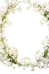 Fototapeta na wymiar Gypsophila Garden Frame isolated on white background