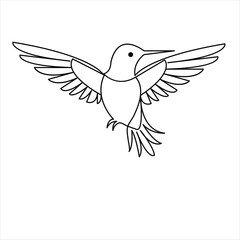 Hummingbird minimalist design continuous single line art drawing outline vector illustration