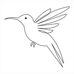 Hummingbird minimalist design continuous single line art drawing outline vector illustration