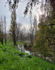 Rivera of the Tormes river in Salamanca, ancient and forgotten grove