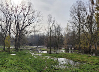 Fototapeta na wymiar Riverside of the Tormes river, flooded waters