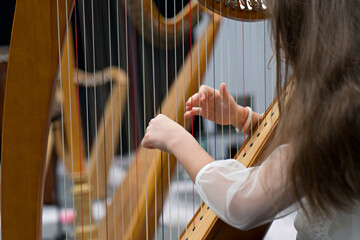 person playing the harp - obrazy, fototapety, plakaty