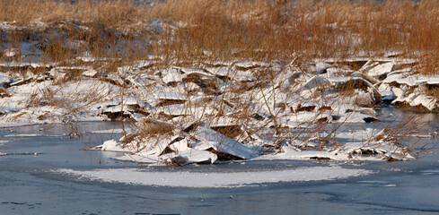 River landscape in winter, Narew river in Poland