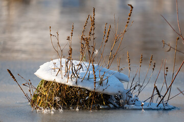 Winter in the backwaters, winter details, snow and ice