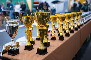 Cups for winners at dog shows