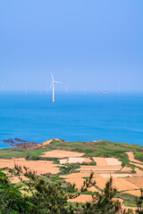 Offshore wind farm in the sea.