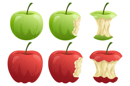 Apple Green Red Apples Flat Design Illustration Set Collection
