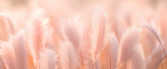 Abstract background with lush grass color peach fuzz. - obrazy, fototapety, plakaty